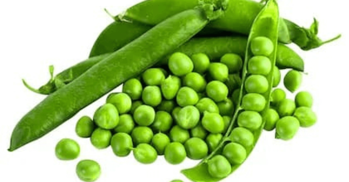 Green Pea